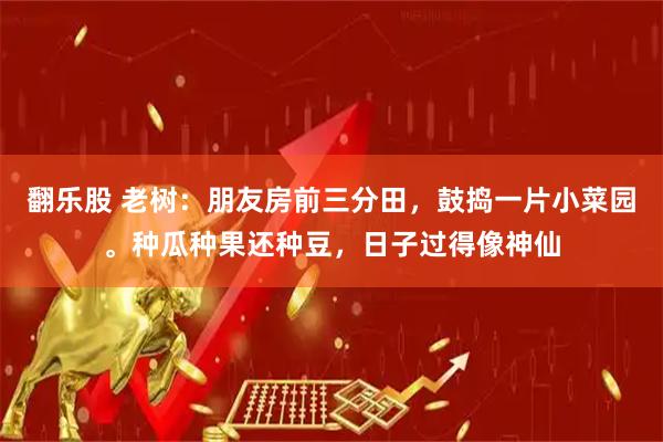 翻乐股 老树：朋友房前三分田，鼓捣一片小菜园。种瓜种果还种豆，日子过得像神仙